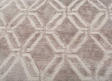Azalea AIBS-3034, Simply Taupe/Dark Ivory by Jaipur Rugs - view 6