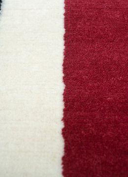Sthir AIWL-3015, Cinnabar/Papyrus by Jaipur Rugs - view 6