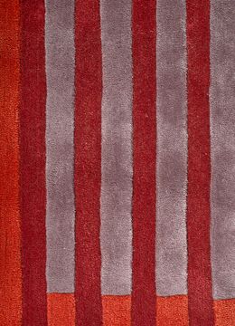 Caliedo TNQ-3320, Velvet Red/Mauve by Jaipur Rugs - view 6