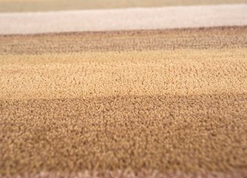 Come Around TNQ-1364, Ginger Brown/Medium Gray by Jaipur Rugs - view 5