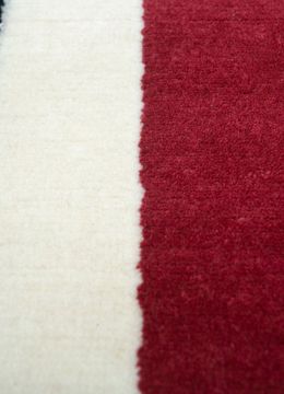Sthir AIWL-3015, Cinnabar/Papyrus by Jaipur Rugs - view 5