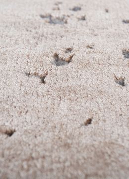 Chaos Theory ESK-316, Desert Tan/Ashwood by Jaipur Rugs - view 5