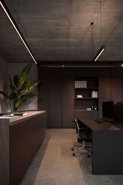 OMNILINER 50 PENDANT WITH TRACK profile by Delta Light - view 3