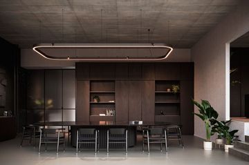 OMNILINER 50 PENDANT WITH TRACK profile by Delta Light - view 4