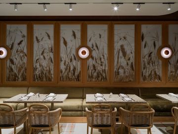 TRACK 3 PHASE DIMMABLE RECESSED by Delta Light - view 6