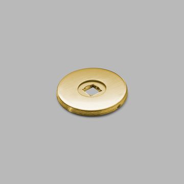 Rose f/ knob handle - PVD brass by d line - view 2