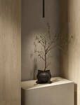 Suite Wood by LaFaenza - view 6