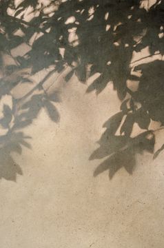 Sensi Taupe Dust by Florim - view 2