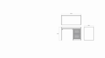 Roots Desk by KARPENTER - view 8