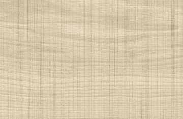 Log Select Beige by Atlas Concorde - view 2
