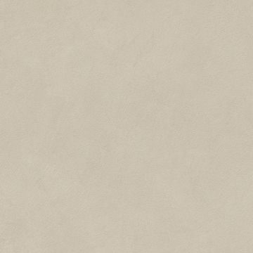 Boost Natural Pro Gray by Atlas Concorde - view 6