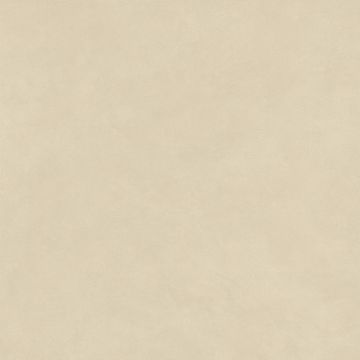 Boost Natural Pro Beige by Atlas Concorde - view 5