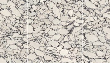 Marvel Epic Calacatta Viola Polished by Atlas Concorde - view 2