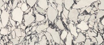 Marvel Epic Calacatta Viola Polished by Atlas Concorde - view 3