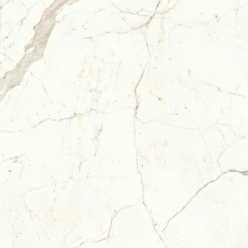 Marvel Shine White by Atlas Concorde - view 6