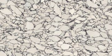 Marvel Epic Calacatta Viola Polished by Atlas Concorde - view 7