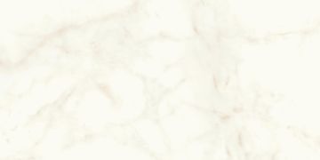 Marvel Shine White by Atlas Concorde - view 5