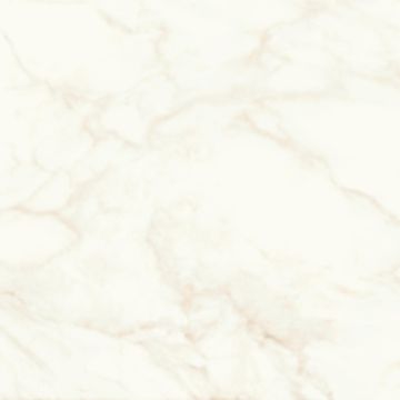 Marvel Shine White by Atlas Concorde - view 9