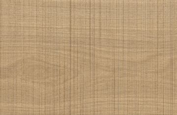 Log Select Light brown by Atlas Concorde - view 2
