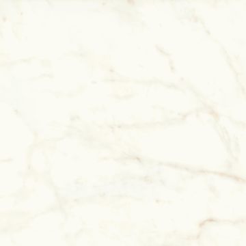 Marvel Shine White by Atlas Concorde - view 4