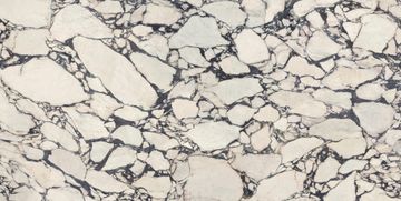 Marvel Epic Calacatta Viola Polished by Atlas Concorde - view 4