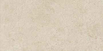 Boost Vision Camel Matte Sensitech by Atlas Concorde - view 3