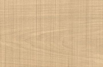 Log Select Beige by Atlas Concorde - view 2