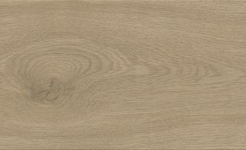 Entice Ash Oak Natural Matte Sensitech by Atlas Concorde - view 5