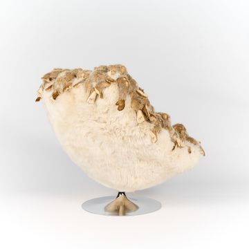 Macaco chair by APcollection srl - view 4