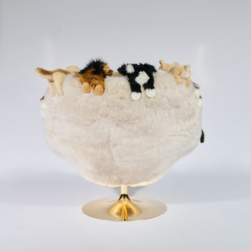 DOGGY CHAIR by APcollection srl - view 6