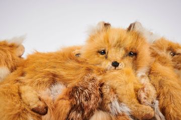 Pouf trompette golden fox by APcollection srl - view 6