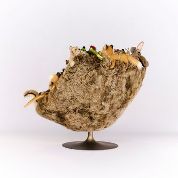 "Promenons-nous dans les bois" CHAIR by APcollection srl - view 7