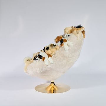 DOGGY CHAIR by APcollection srl - view 8