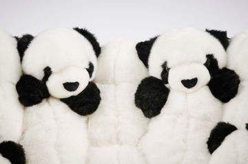 PANDA CHAIR by APcollection srl - view 8
