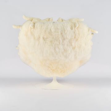 White Cubs Chair by APcollection srl - view 5