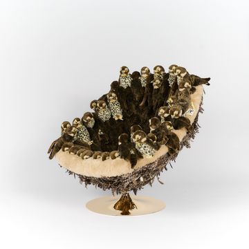 Falcon Chair by APcollection srl - view 8