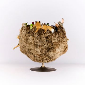 "Promenons-nous dans les bois" CHAIR by APcollection srl - view 6
