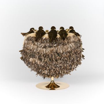 Falcon Chair by APcollection srl - view 5