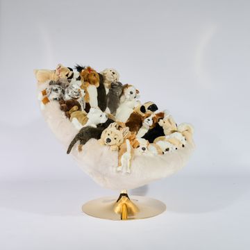 DOGGY CHAIR by APcollection srl - view 3