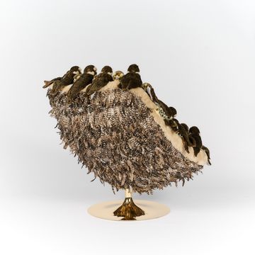 Falcon Chair by APcollection srl - view 4