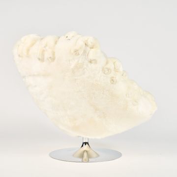 POLAR CHAIR by APcollection srl - view 5