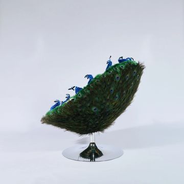 ROYAL CHAIR by APcollection srl - view 8