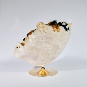 DOGGY CHAIR by APcollection srl - view 7