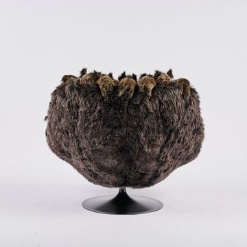 Sanglier chair by APcollection srl - view 4
