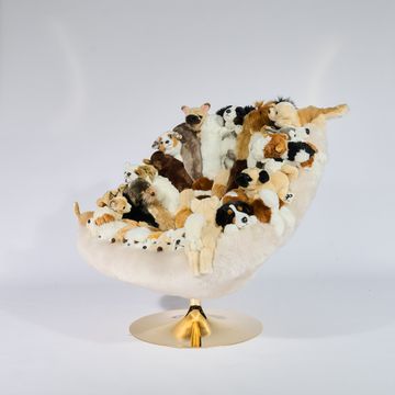 DOGGY CHAIR by APcollection srl - view 9