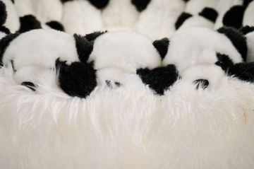 PANDA CHAIR by APcollection srl - view 9