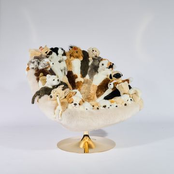 DOGGY CHAIR by APcollection srl - view 2