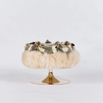 Pouf dodo by APcollection srl - view 2