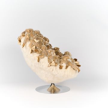 Macaco chair by APcollection srl - view 3