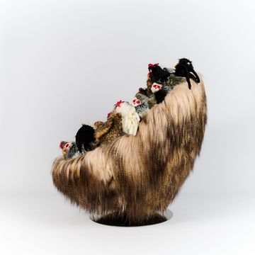 MY CHICKS Chair by APcollection srl - view 7